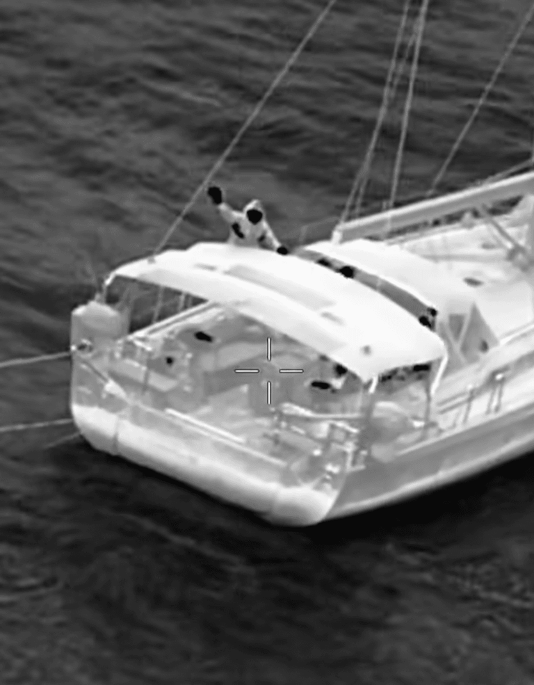 Sailors fight for survival after 'real-life Moby Dick' sinks their ...