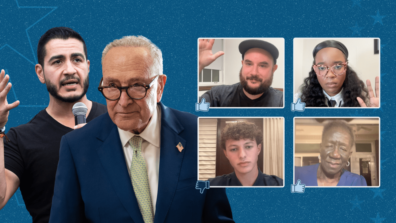 What Democratic voters actually think of the party, the DSA and the midterms