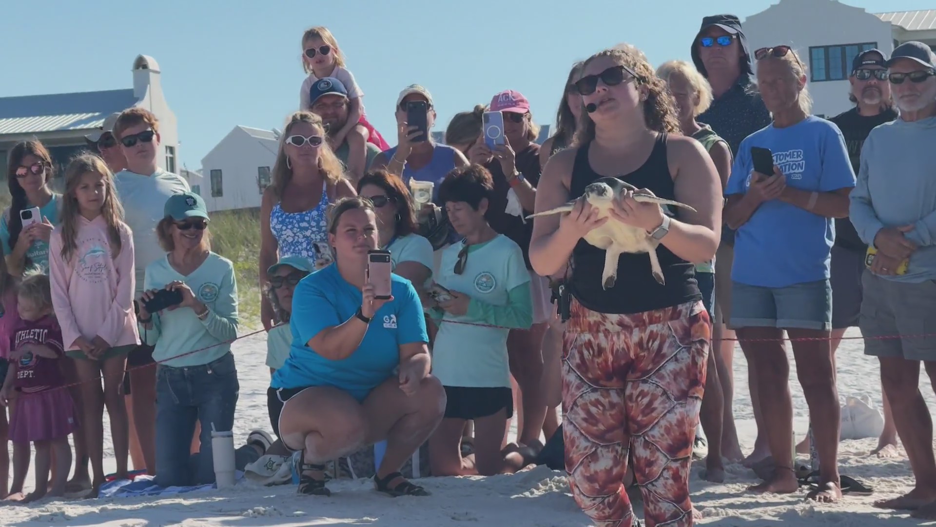 Gulfarium sea turtles return to the wild after rehab