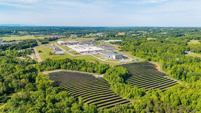 New DENSO solar field offsets nearly 14% of Athens plant power use