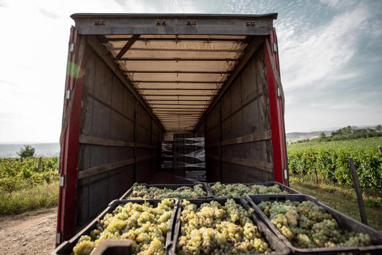 Self-driving big rigs roll into California as driverless future comes ...