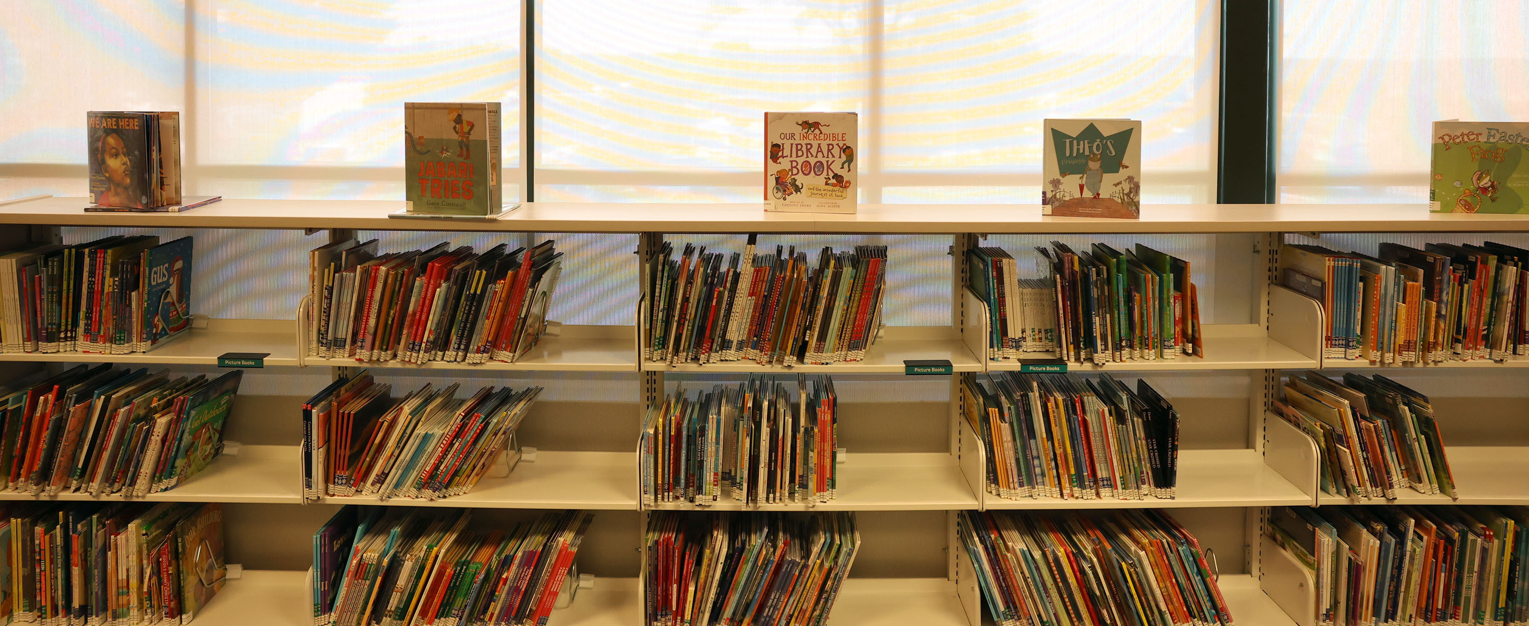 Baltimore County Public Library system names new executive director