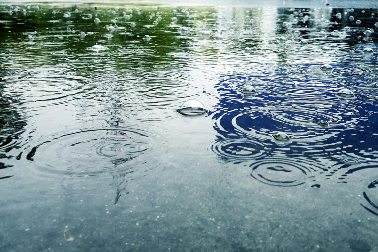 Laredo College cancels Friday classes, operations due to flooding concerns