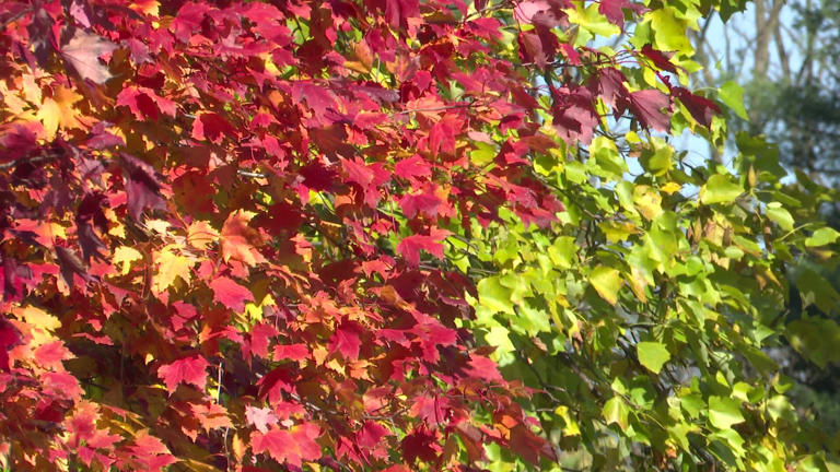 Fall colors drive tourism boost across Wisconsin