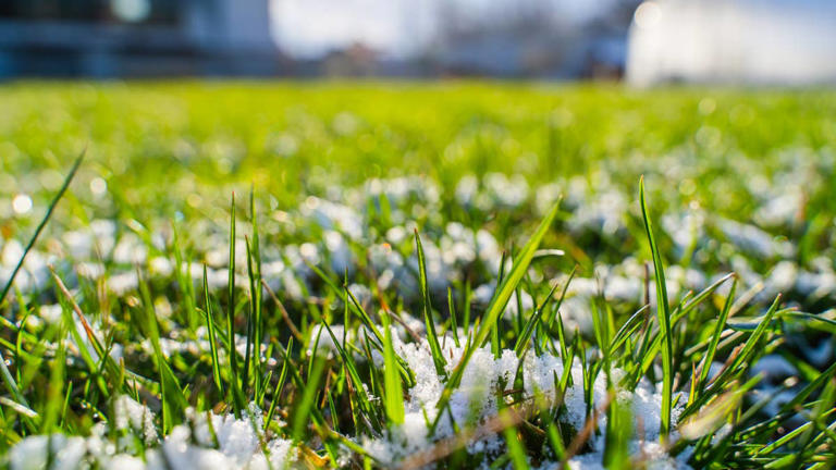 El Niño could wreak havoc on your lawn. Here’s how to prepare now