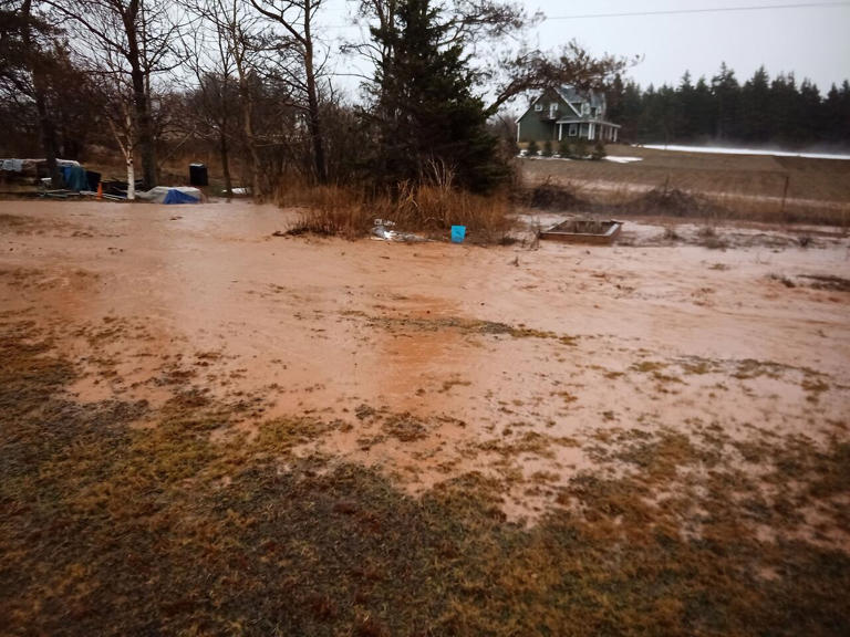 E coli showed up in drinking water on PEI.'s South Shore. Now ...