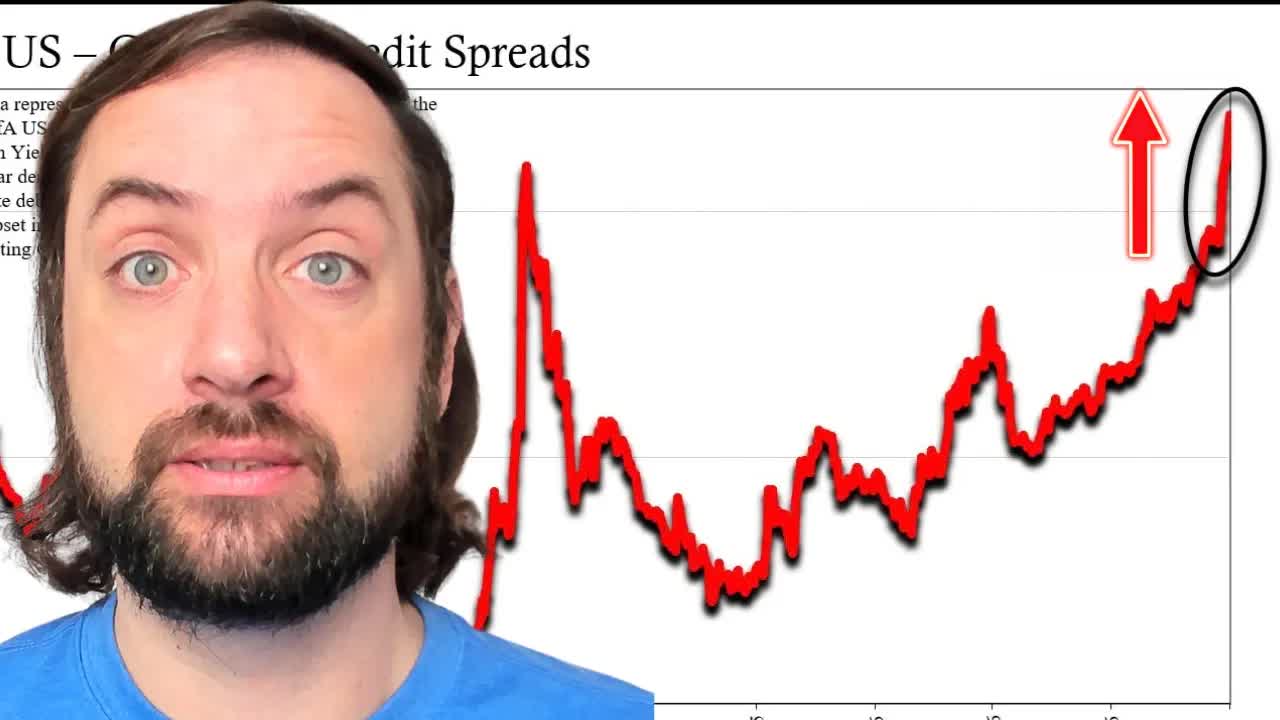 What happened to the bond market and credit spreads?