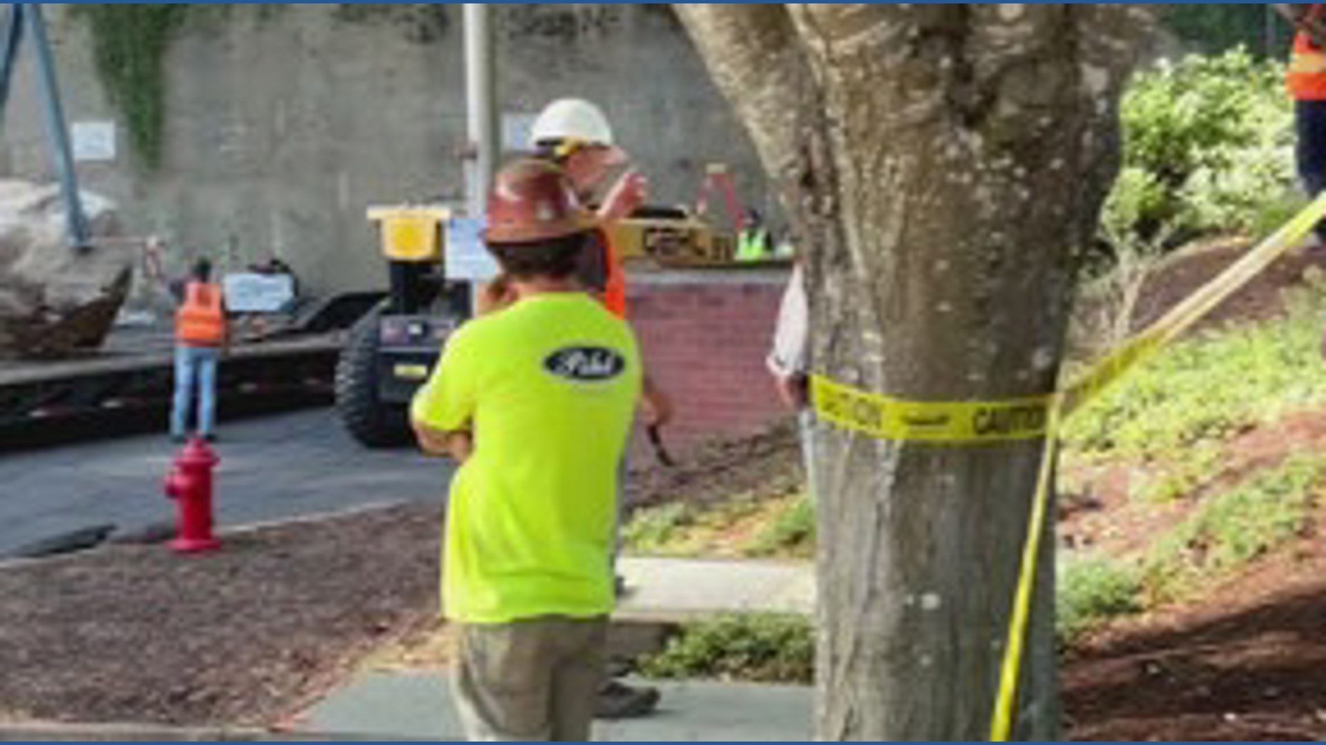 Crowds watch large boulder get removed from Portland QFC