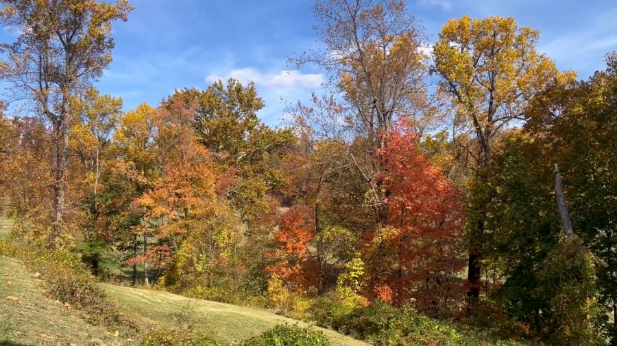 Rain on the way: But the rain that matters for fall colors in West Virginia already fell