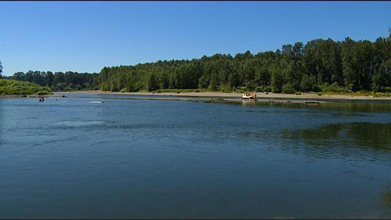 Snohomish River to close to all fishing amid coho return concerns