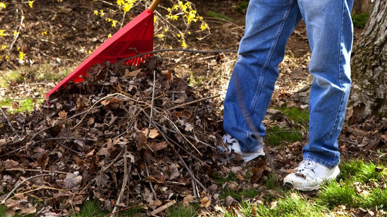 Turn yard scraps into DIY mulch and compost with a solution from Harbor ...