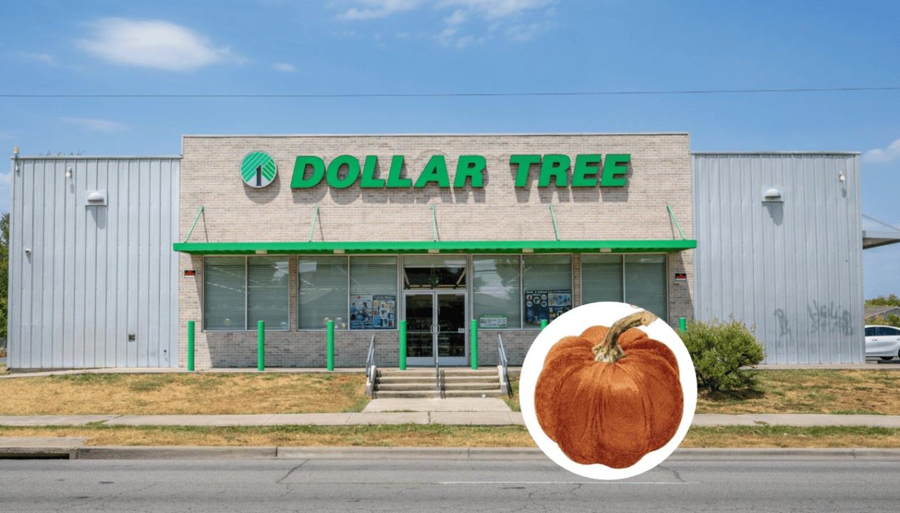 Get the Ralph Lauren fall decor look for less at Dollar Tree