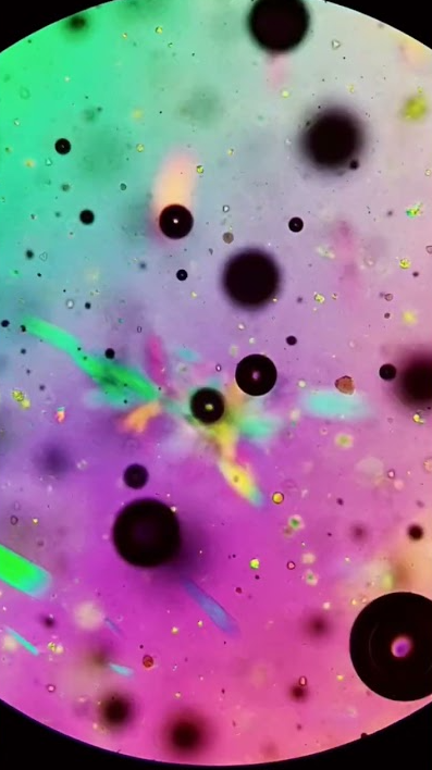 Honey under the microscope in polarized light