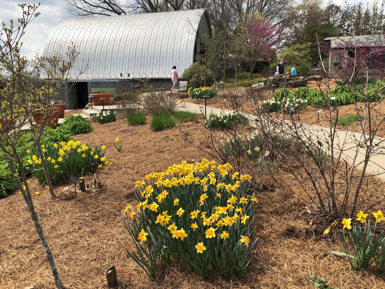 Four essential fall garden tasks to do now for a better spring landscape