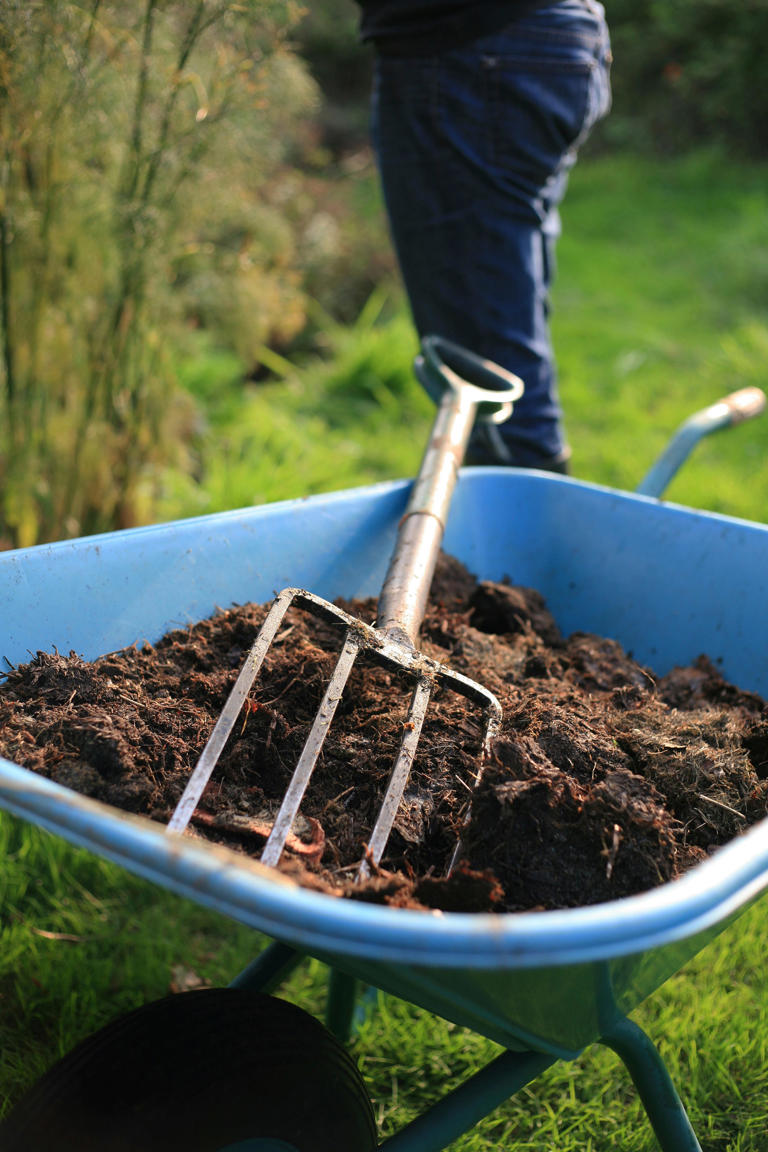 Four essential fall garden tasks to do now for a better spring landscape
