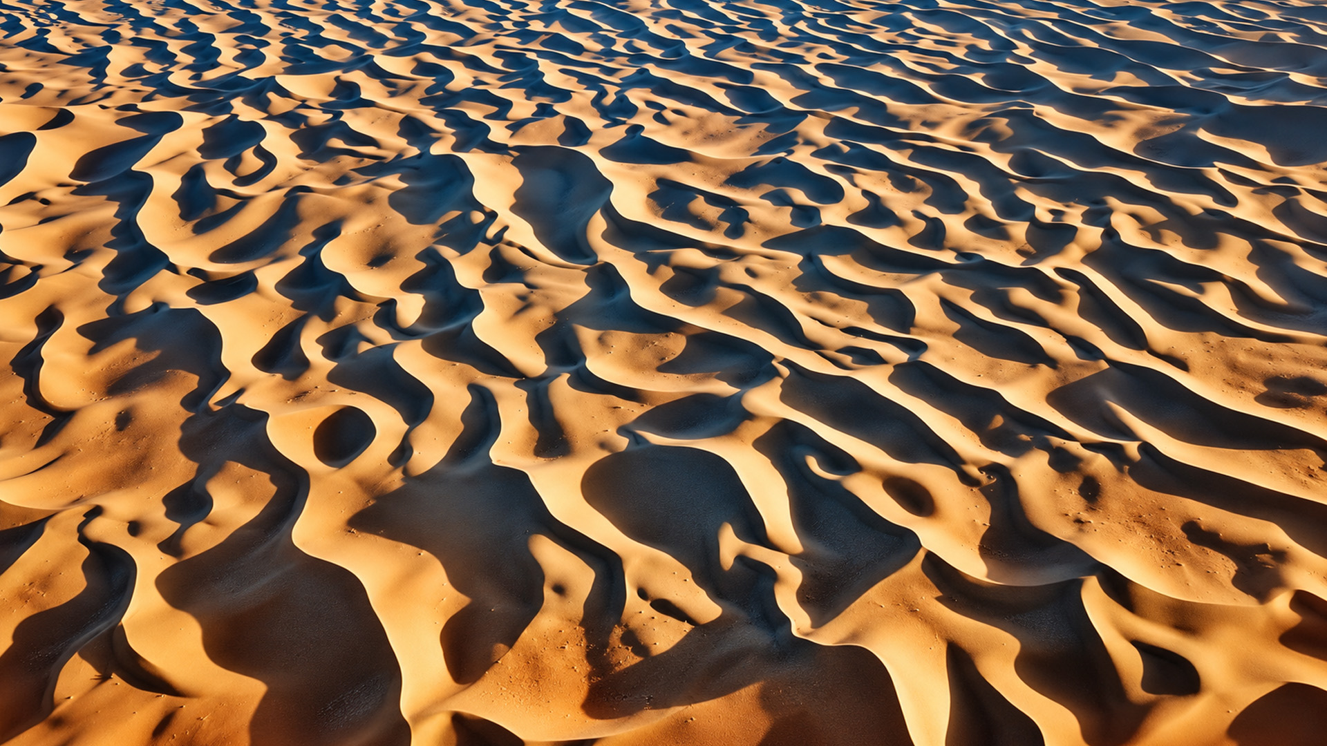 Endlose Sanddünen bei Merzouga