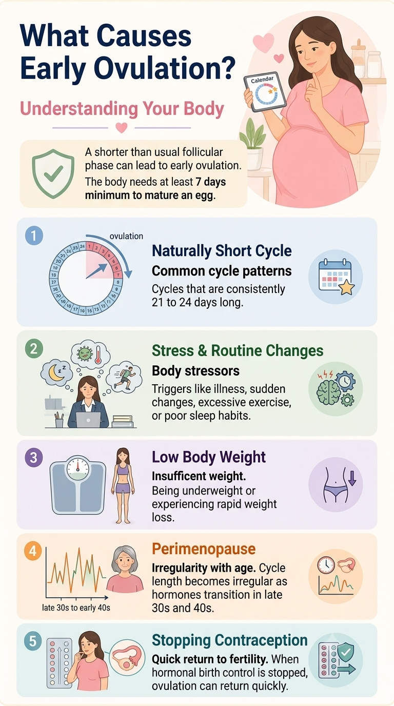 Can you conceive soon after your period ends?