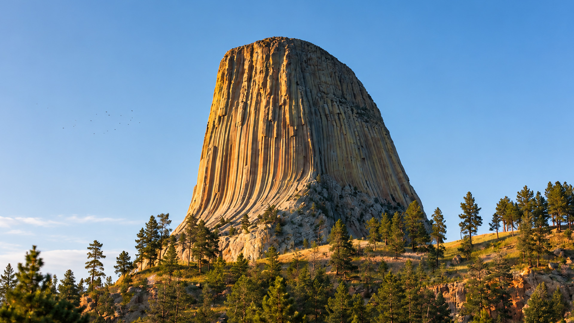 What makes Devils Tower look so unusual?