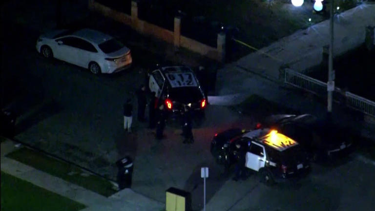 Man arrested in connection with South LA fireworks explosion that ...
