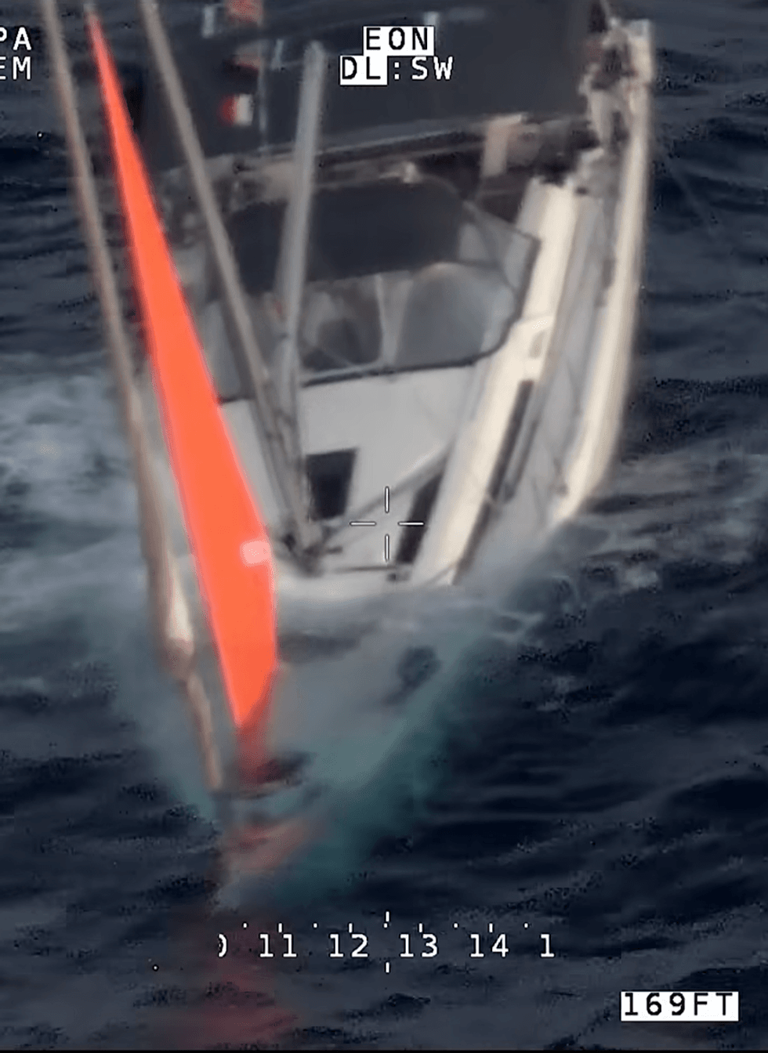 Sailors fight for survival after 'real-life Moby Dick' sinks their ...