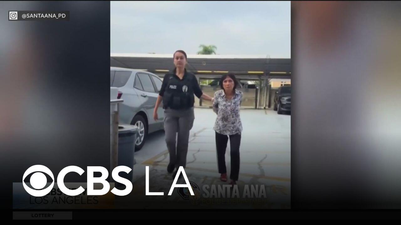 Orange County woman arrested for animal cruelty, allegedly killing her ...