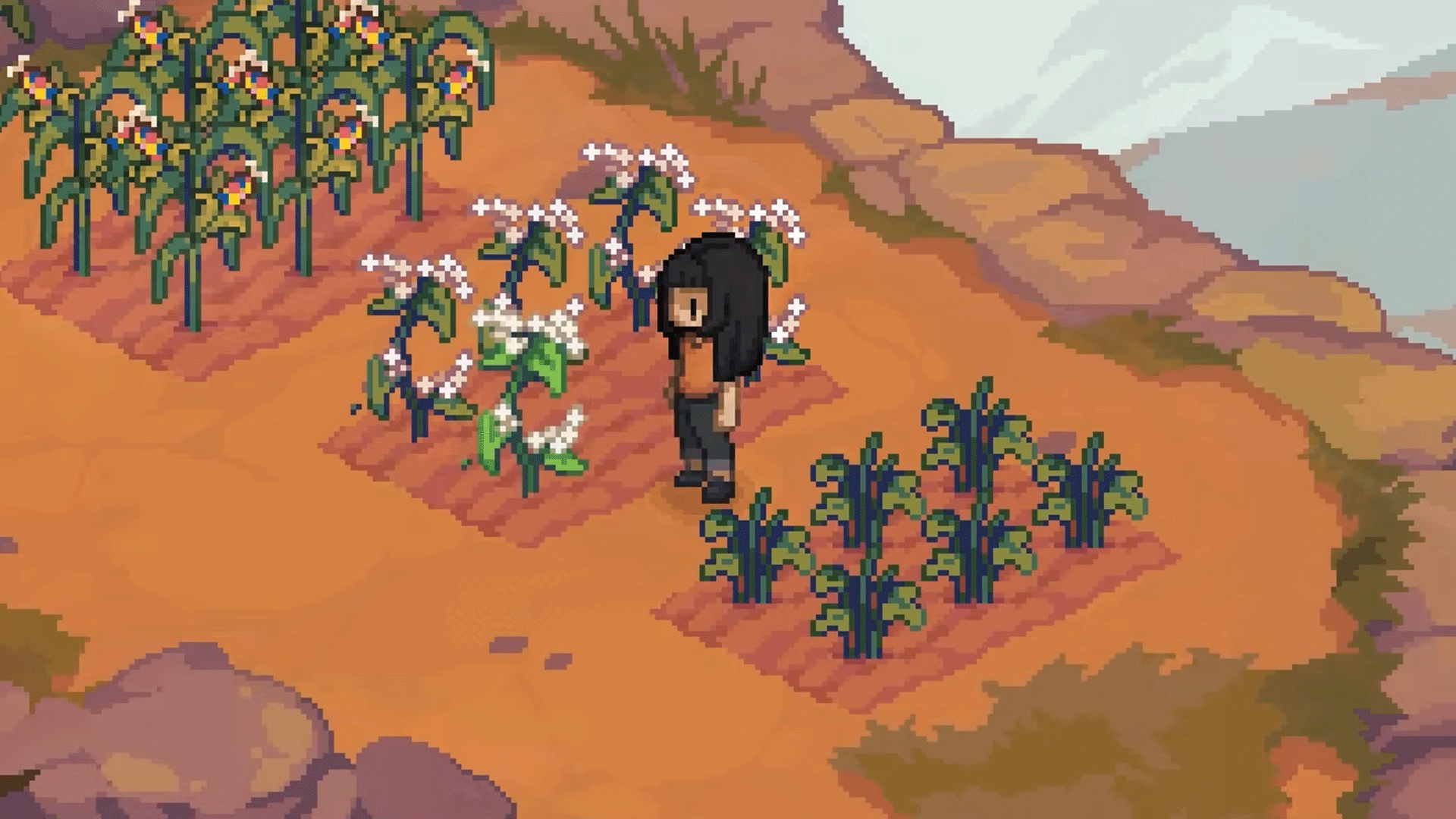 Grave Seasons - official release date trailer