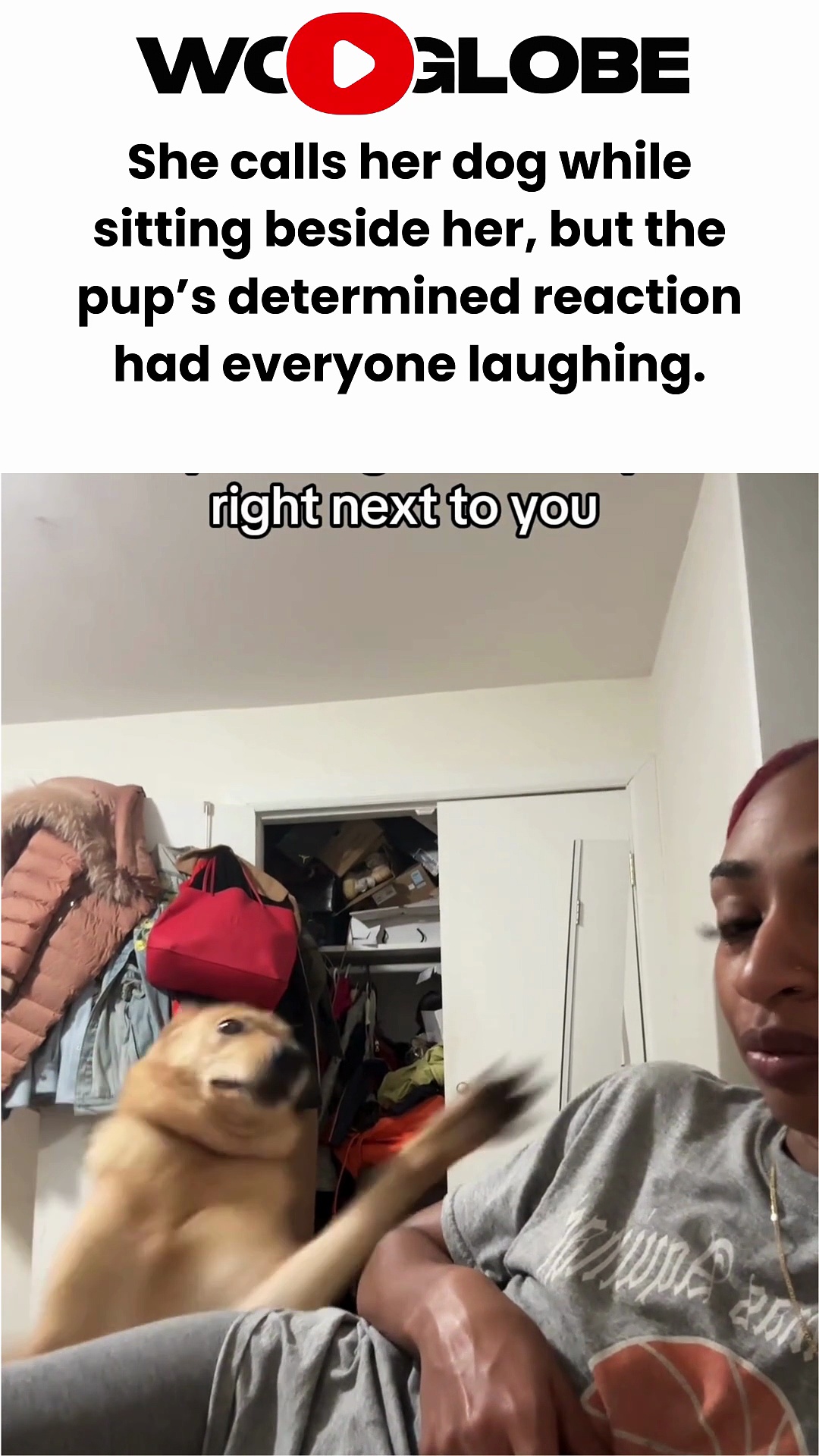 Funny dog trend gets a sweet reaction as the pup tries to get noticed
