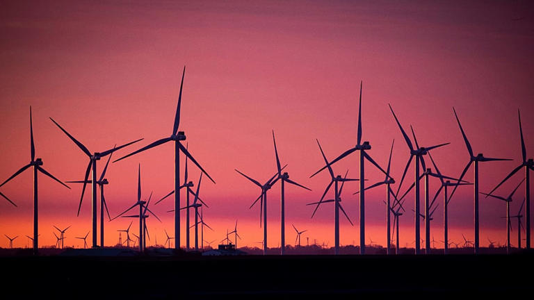 How many birds are killed by offshore wind turbines? Scientists use ...