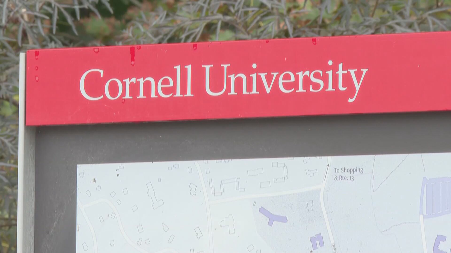 Rockford-area advocates respond to Cornell University allegations