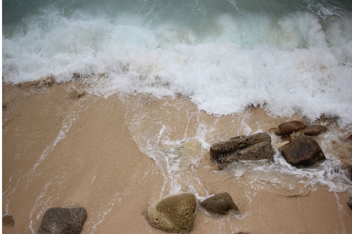 Coastal plans on Wednesday? Here are the high and low tide times