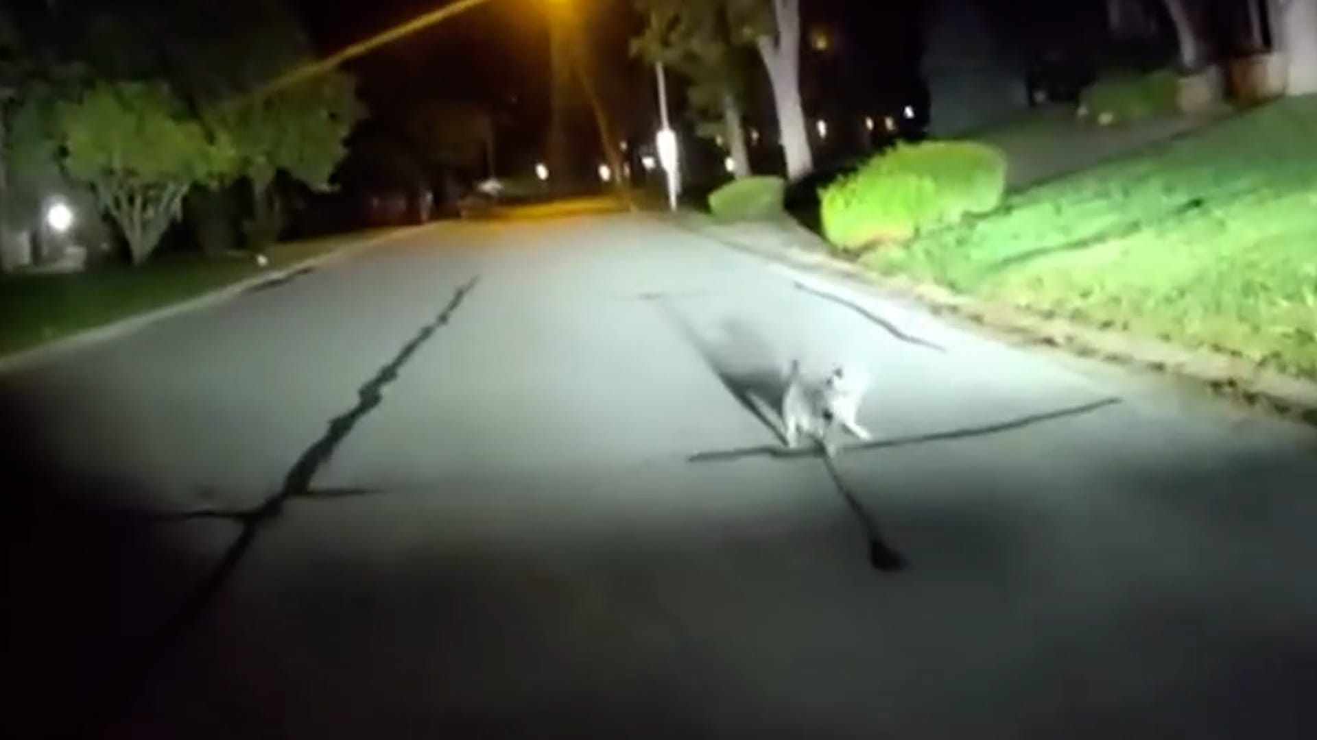 Barking dog leads police officer to homeowner unable to get up