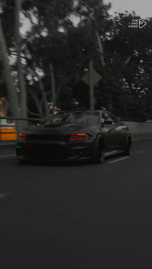 A widebody Dodge Charger from multiple angles