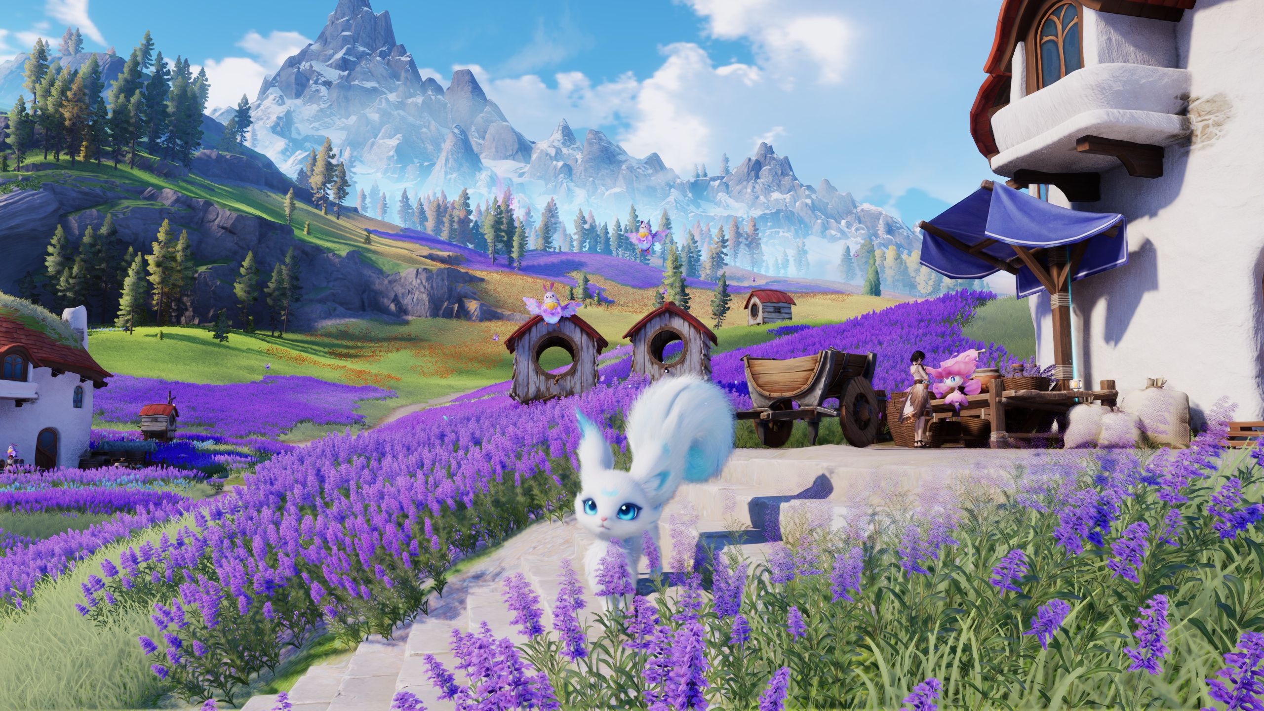 All active Aniimo codes list