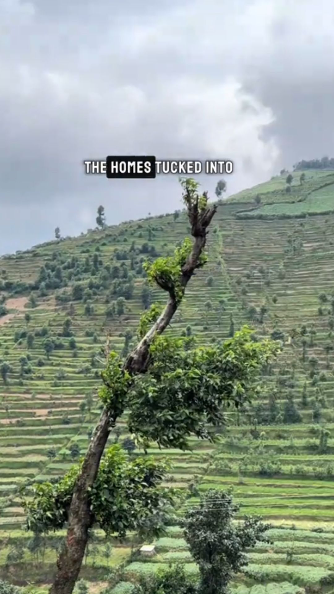 Rwanda travel experience: Exploring clean and peaceful Kigali