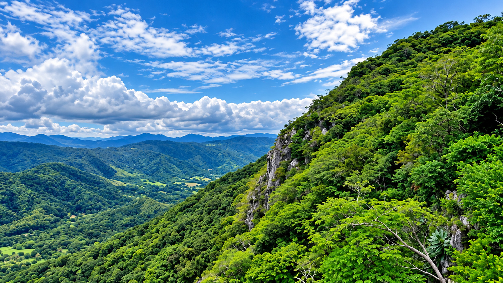Tropical mountains rising above Costa Rica’s Pacific coast