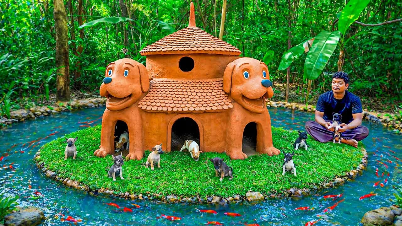 He built his puppies an entire private island - complete with a dream ...