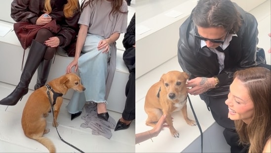 Balenciaga’s front-row star is a doggo named Miranda