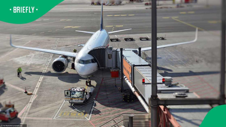 Video showing airport staff tossing luggage sparks debate among South ...