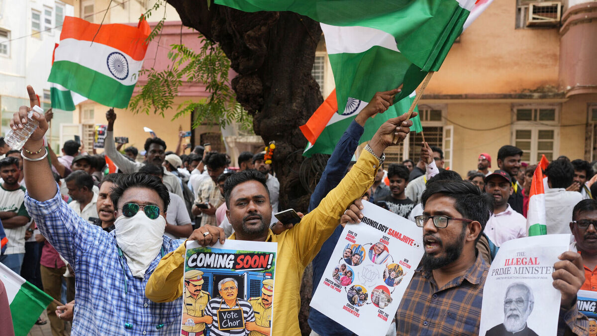 'Cockroach' protesters demand Indian polling chief resign over vote ...