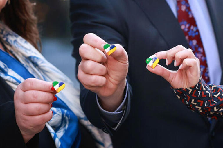 Ukrainian Irish Chamber of Commerce convenes leaders to discuss Ukraine ...