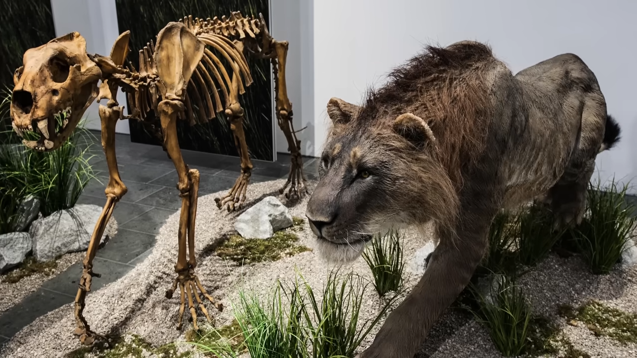 A 14,000-year-old puppy was found frozen in Siberia - then scientists ...