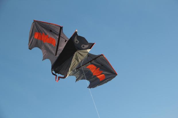 Free family kite-flying event coming to Brading this Saturday