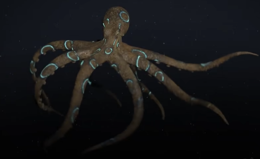 He stepped too close to a blue ringed octopus, then its venom started ...