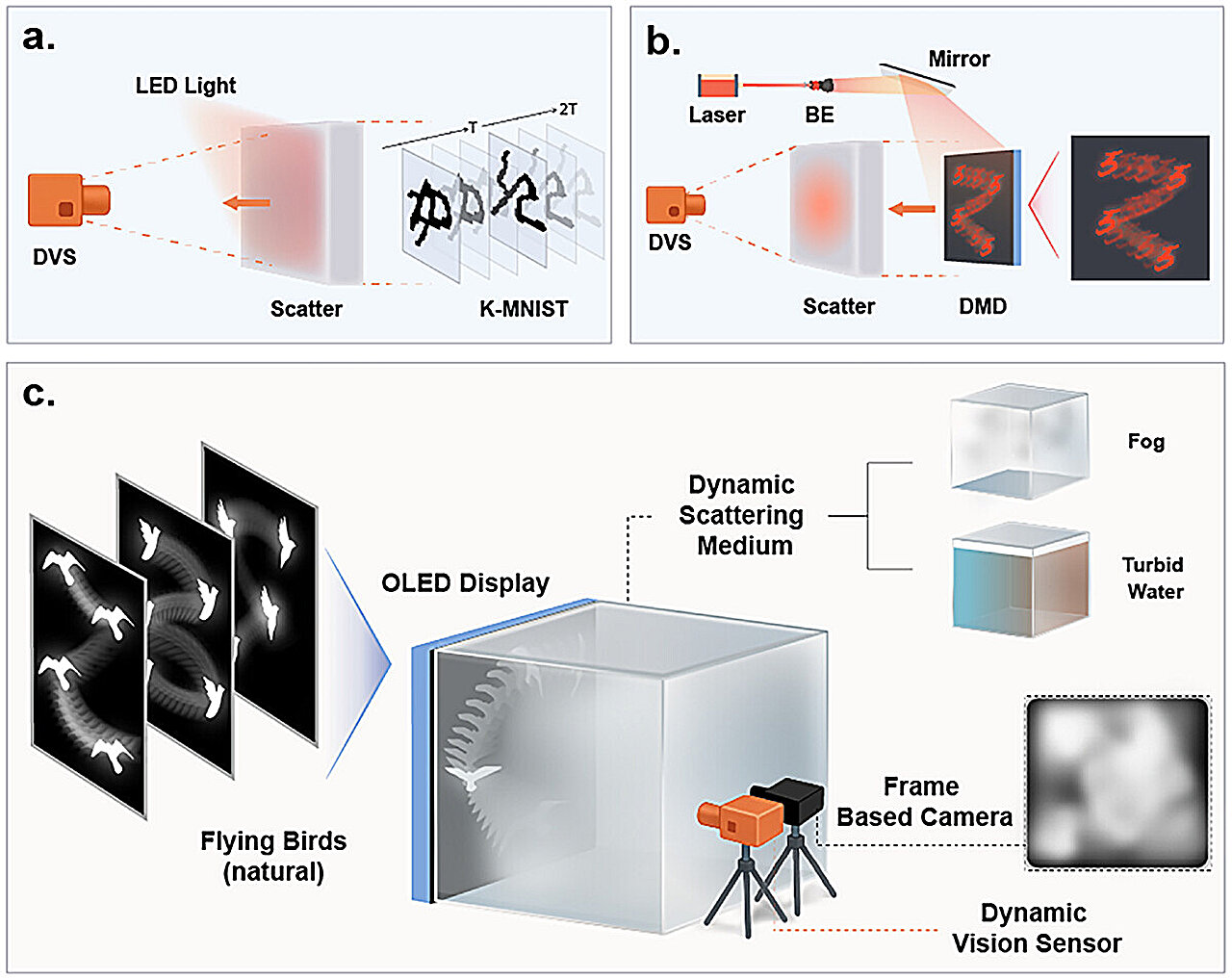 Brain-inspired imaging system can 'see' through fog