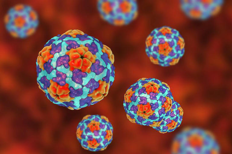 Hepatitis A cases confirmed at UK primary schools as warnings issued to ...