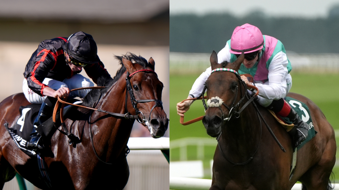 Brit pack ready for Prix de l’Arc de Triomphe challenge