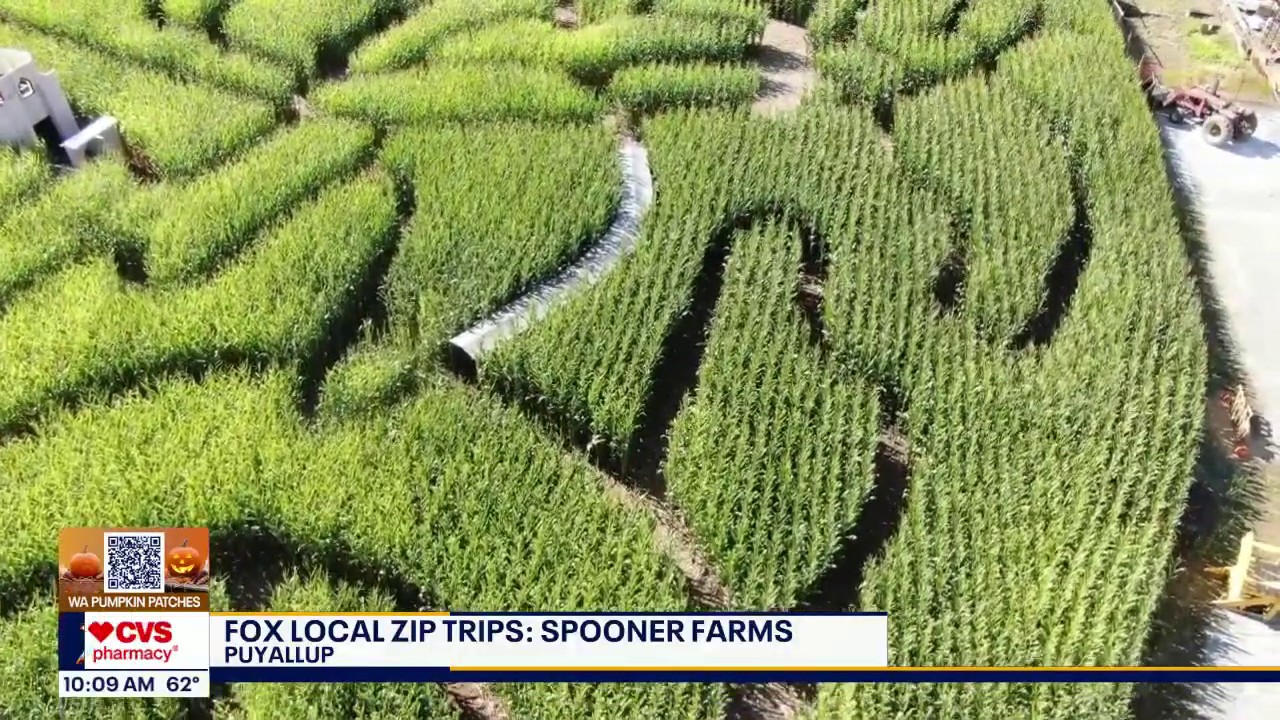 FOX local pumpkin patch zip trips: Spooner Farms