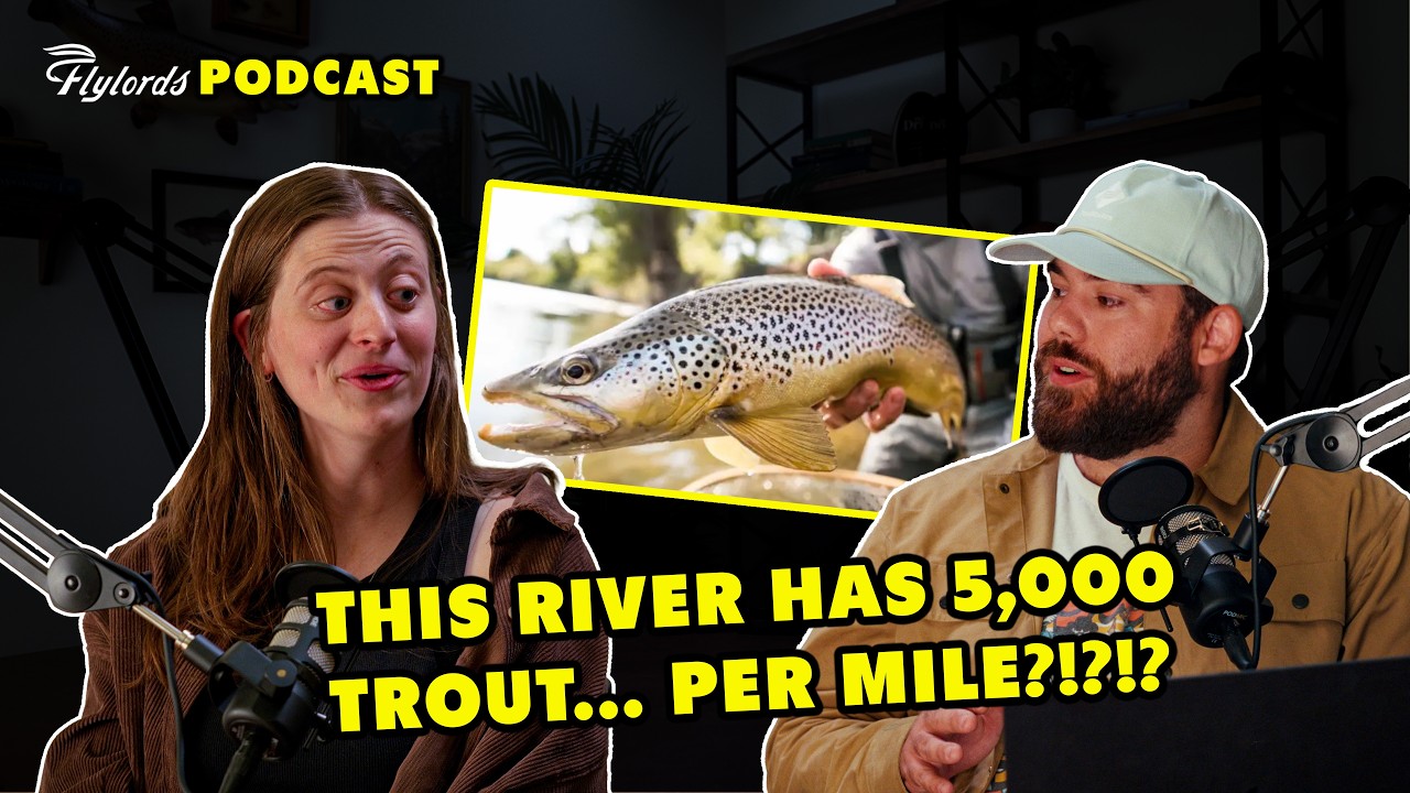 Breaking down America's most famous tailwater, FWP lawsuits, & fall ...