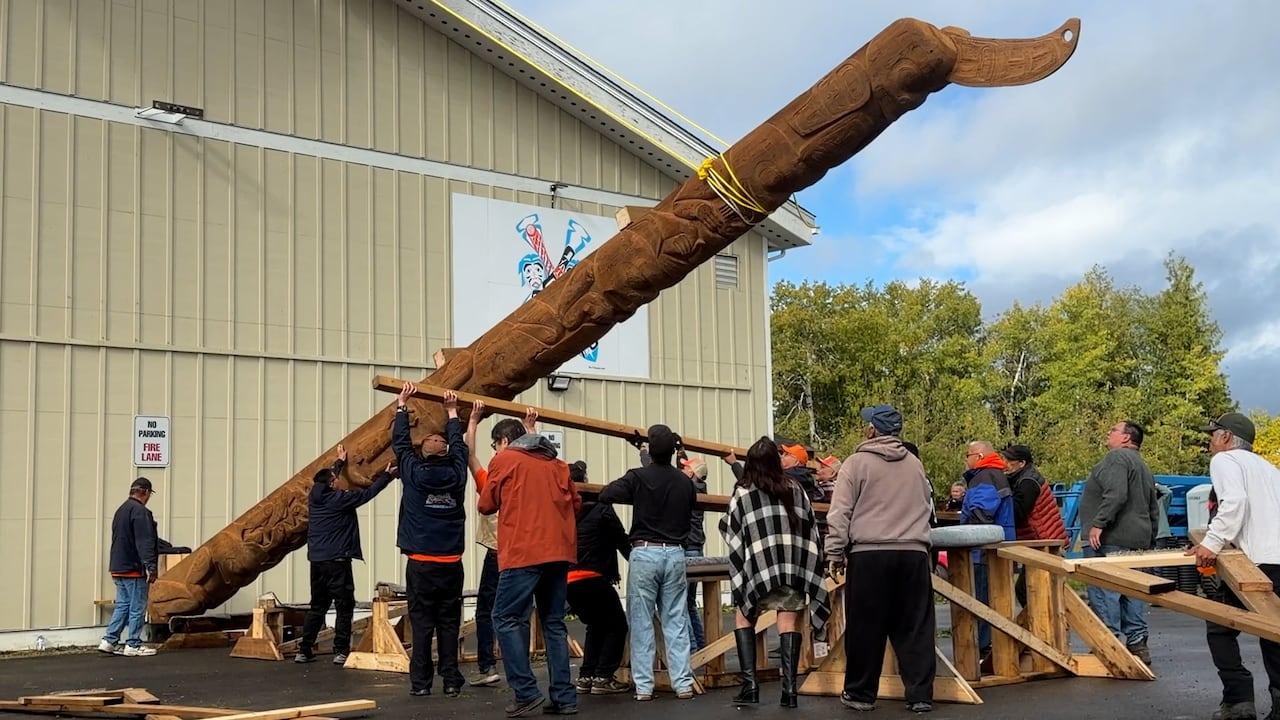 New totem pole raised in Hagwilget, BC., for 1st time in 85 years