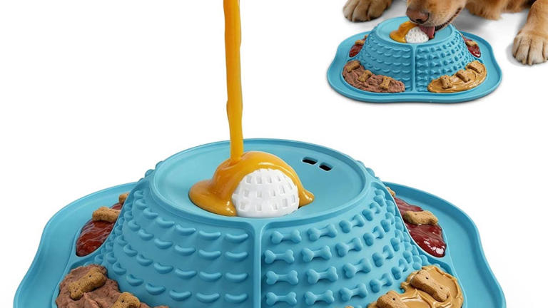 Chewy's new slow feeder bowl turns dinnertime into a puzzle for your pup